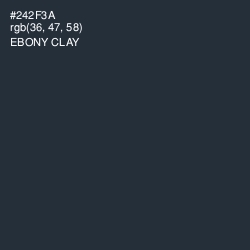 #242F3A - Ebony Clay Color Image
